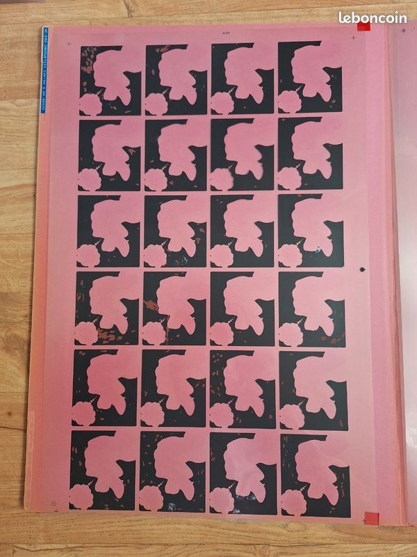 Serigraphie croquette canina (image 3)