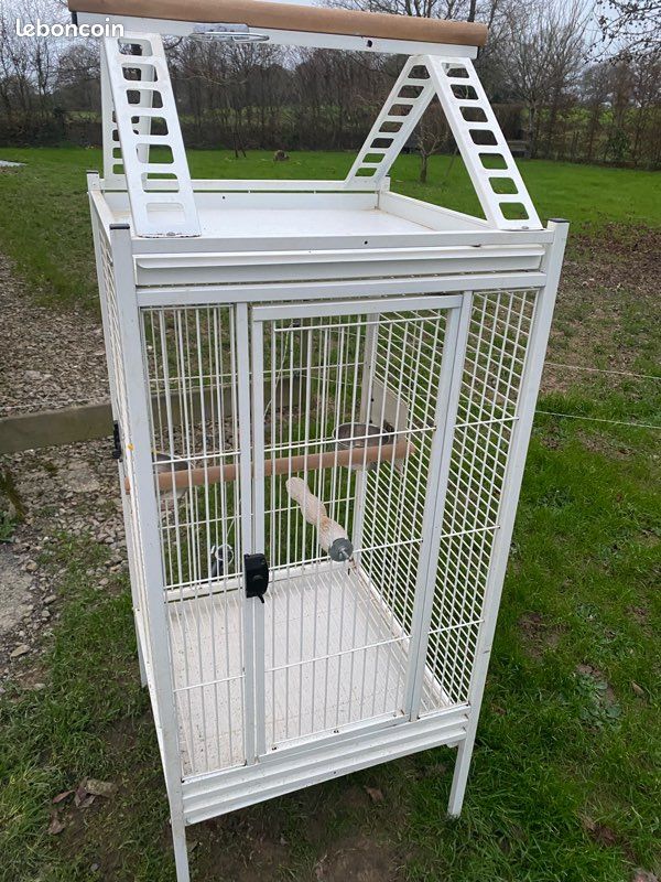 Cage à oiseaux (image 2)