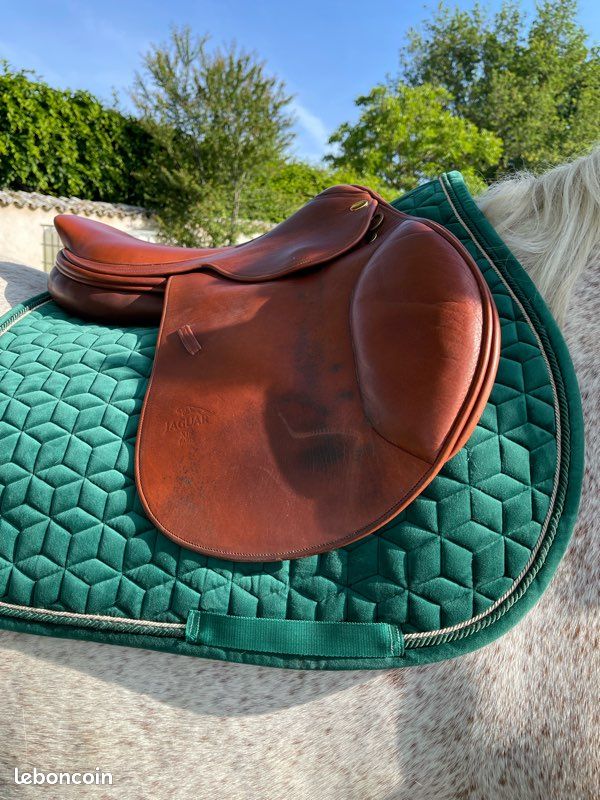 selle Norton 18 pouces avec équipements