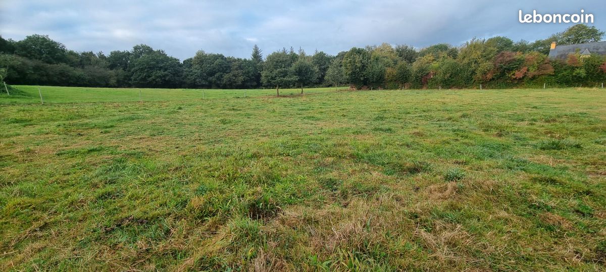 Terrain 1933 m² · à Saint-Brandan · 1 933 m² · 66 500 €