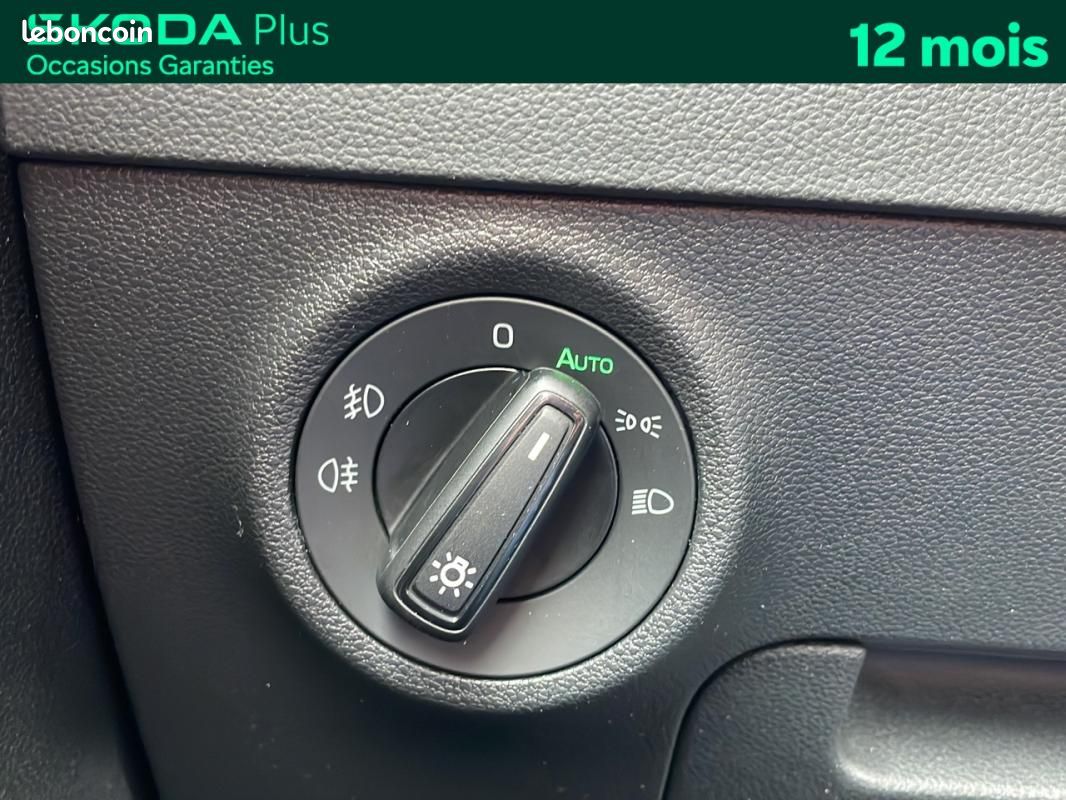 Skoda Karoq 2.0 TDI 116 ch SCR DSG7 Business (image 20)