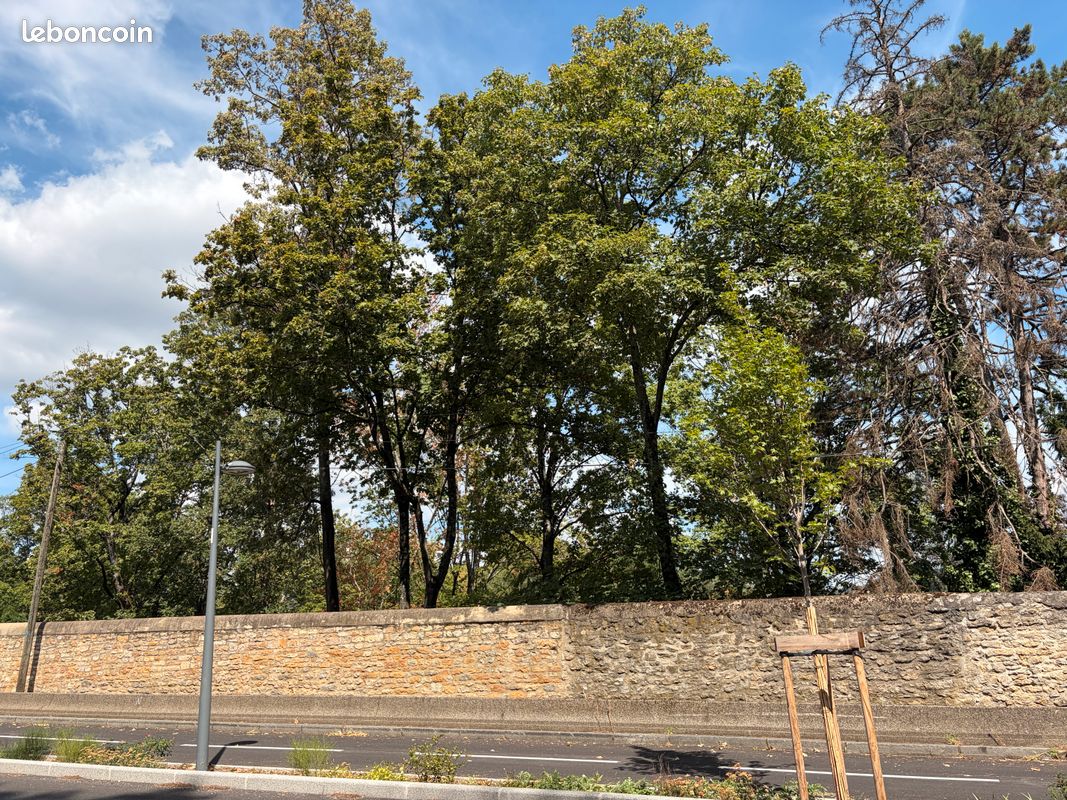 Appartement 1 pièce 39 m² · à Champagne-au-Mont-d'Or · 39 m² · 770 €/mois