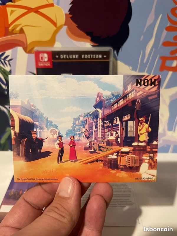 The Oregon Trail Deluxe Édition Nintendo Switch (image 5)