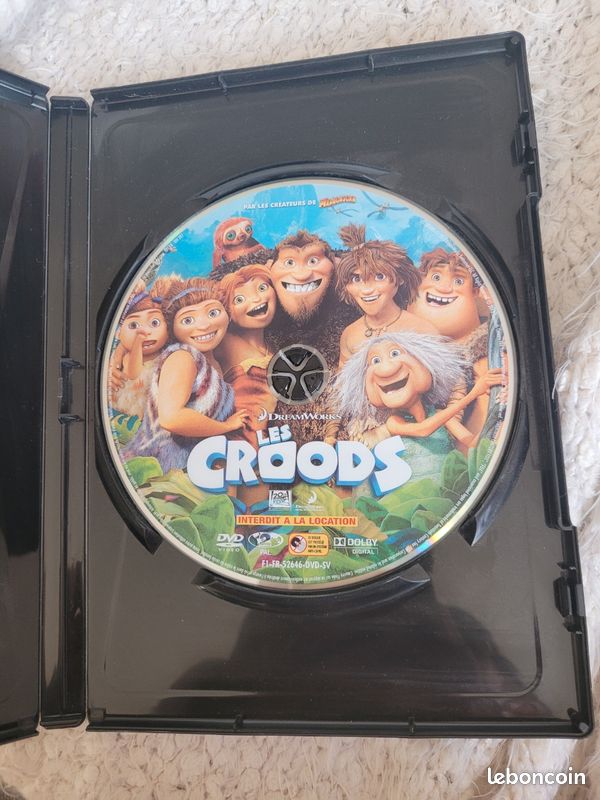 Dvd les croods (image 3)