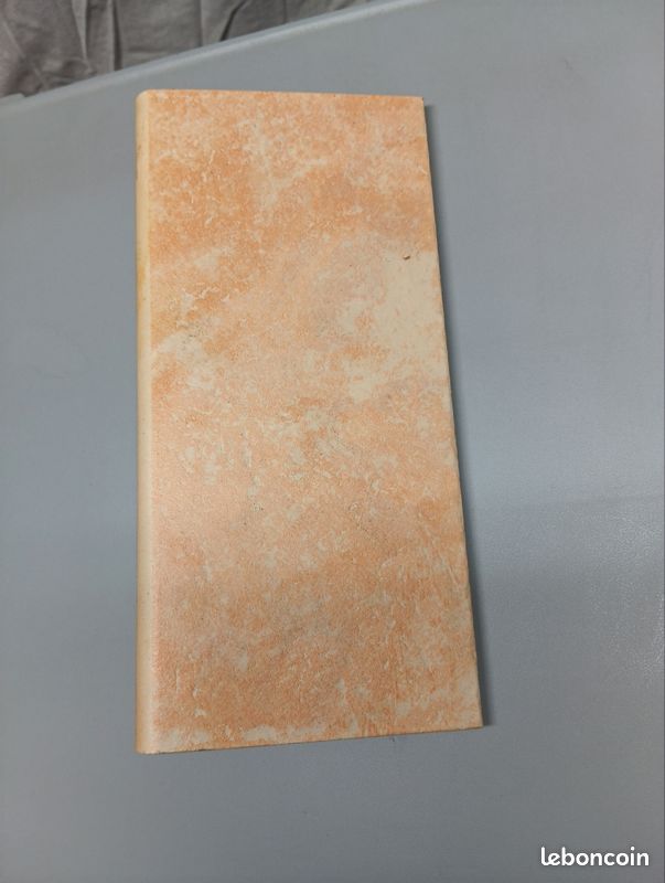 Nez de marche carrelage (image 2)
