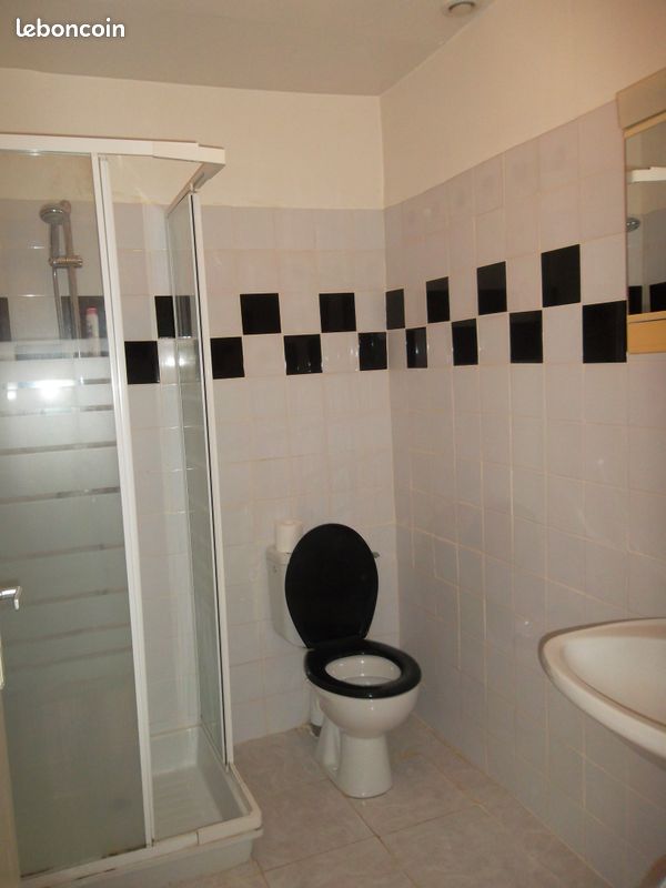 Appartement deux pièces proche hôpital (libre 1 juin) - Tulle 19000 (image 3)