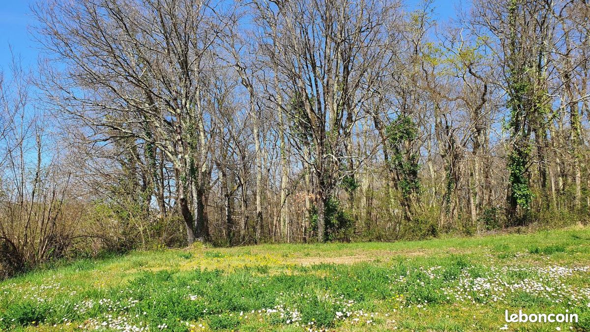Forêt 1 450 m² Montussan · 138 000 €