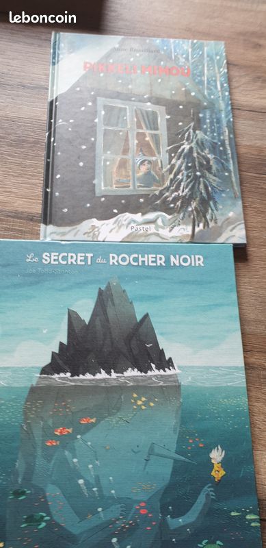 Livres enfants (image 9)
