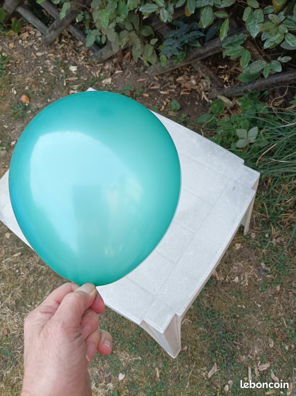 Sachet de ballons a gonfler (image 3)