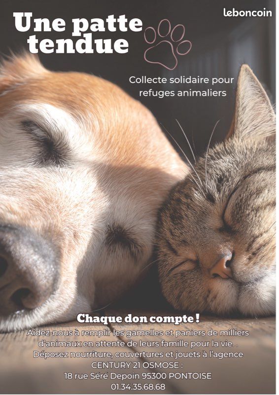 Accessoires pour animaux - Recherche dons pour Associations (image 1)