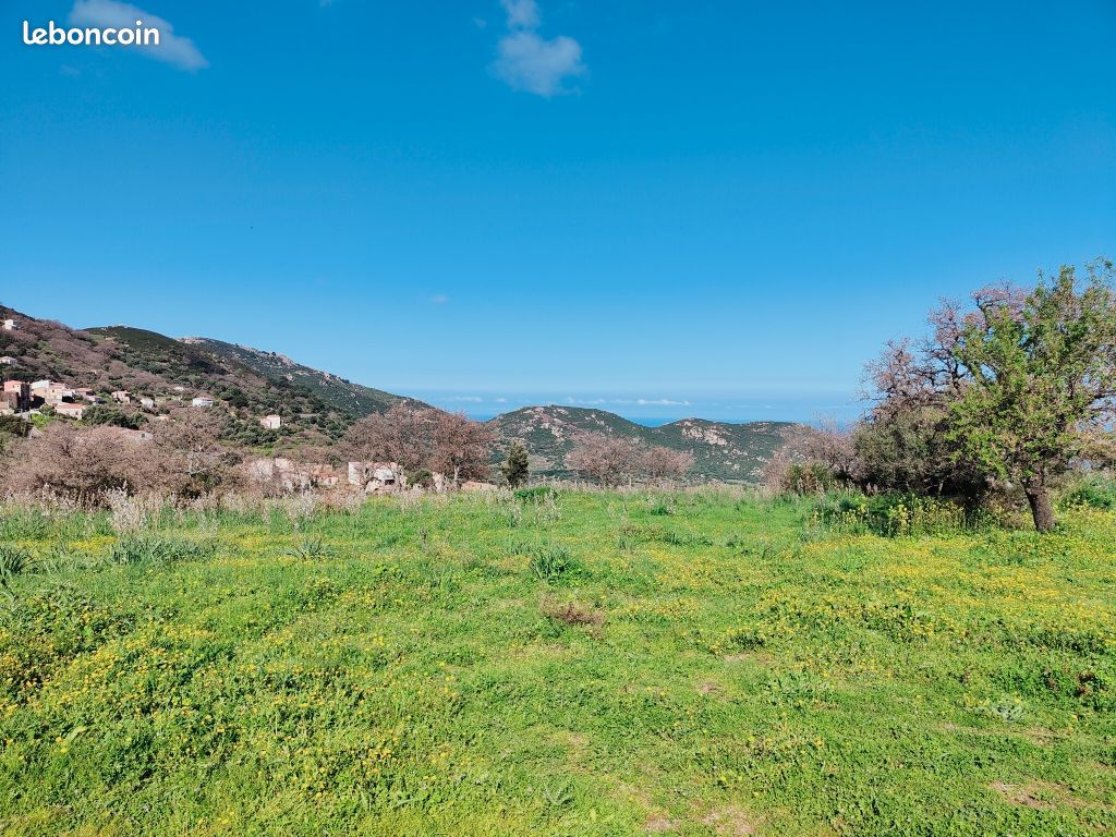 Terrain Lavatoggio · 390 000 €