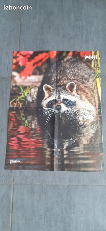 Lot de 3 posters (image 7)