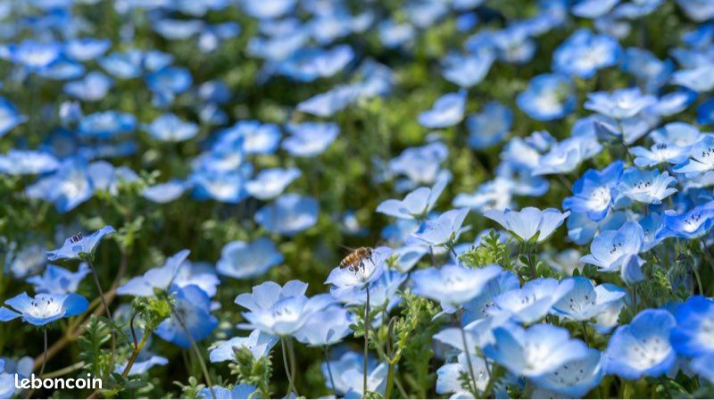 🌱Plutôt nature ou plutôt🧵couture ? Pourquoi pas les 2 avec un quatuor de tableautins, qui s’assortit si bien Mais se vend aussi en duo… (image 14)