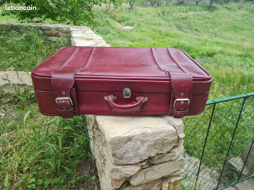 Grande valise vintage (image 1)