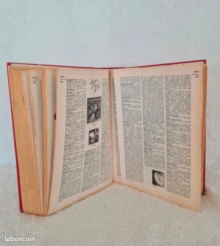 Dictionnaire ancien 🌺 Larousse 1973 (image 15)