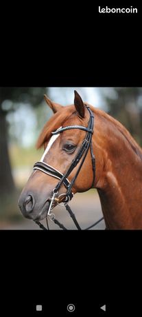 mors cheval d'occasion | Site Annonce France