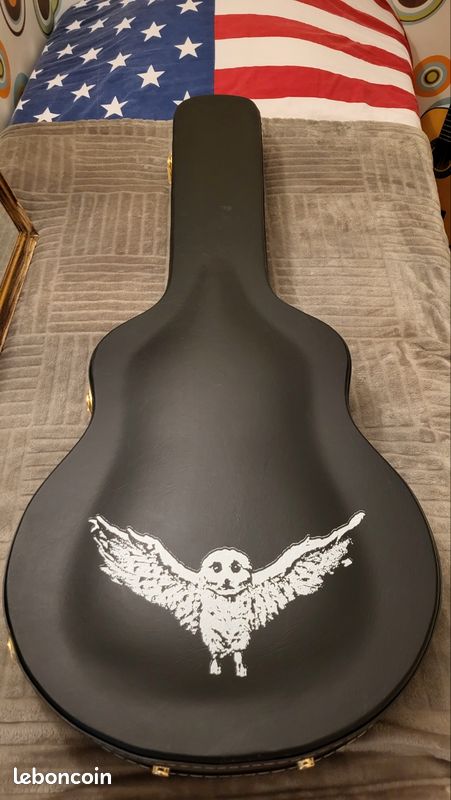 Epiphone es 335 jim james (image 7)