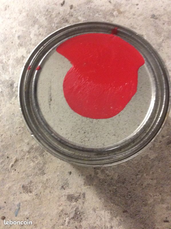 Peinture cachemire (image 3)
