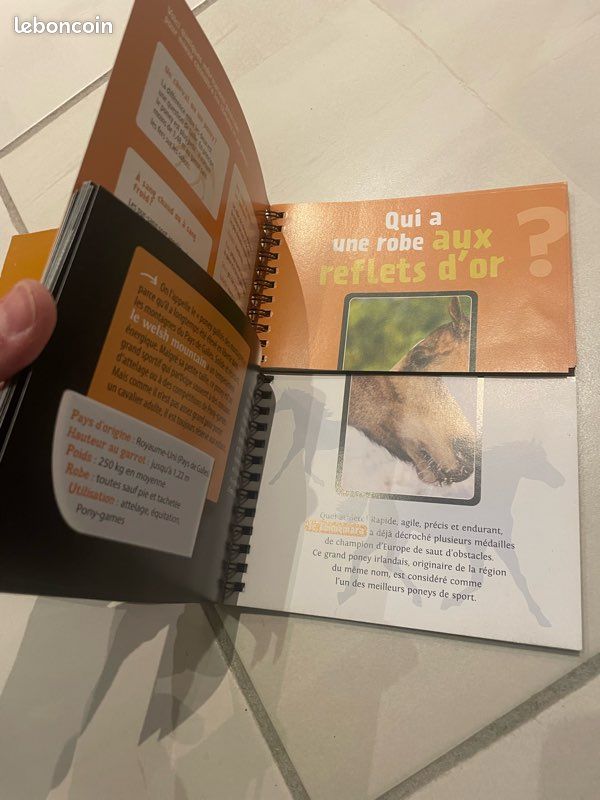Livre Défi nature ; chevaux et poneys (image 4)