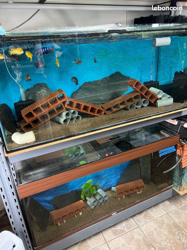 Aquarium (image 1)