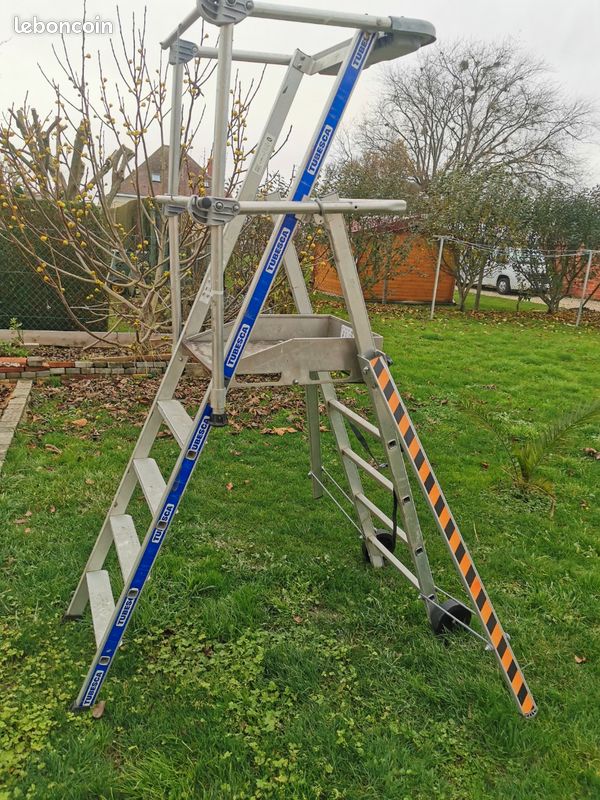Gazelle tubesca (image 1)