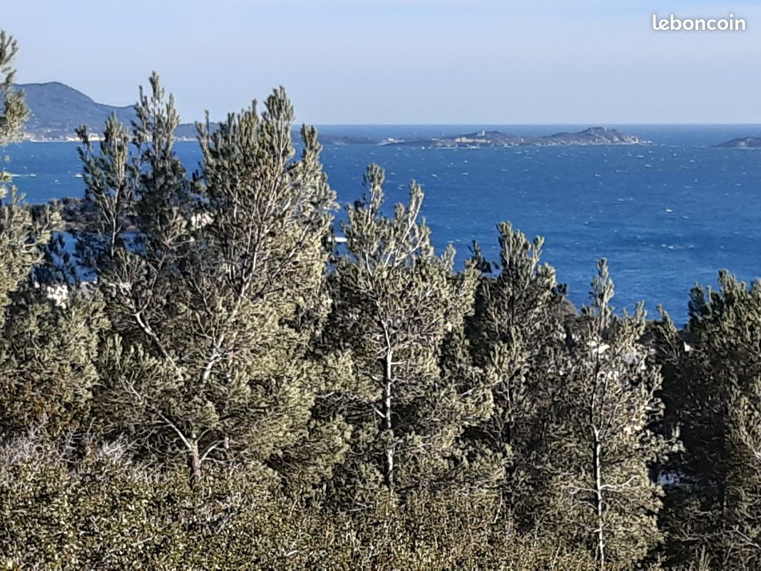 Le Chant des Cigales (image 8)