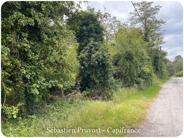 Terrain 2 600 m² Saint Romain Et Saint Clement