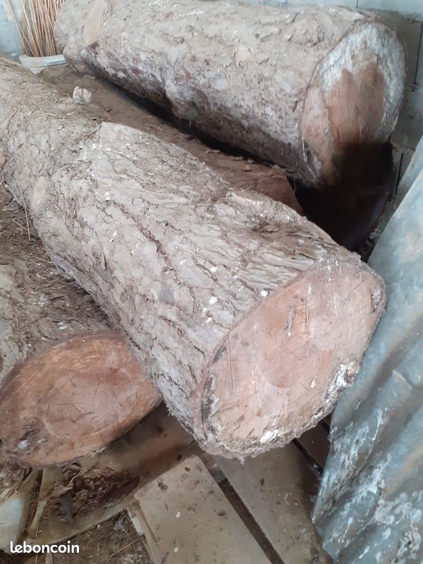 Bois (image 5)