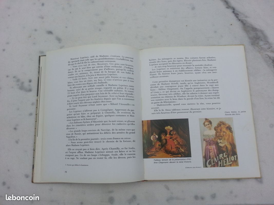 Envoyez les lions Ou le métier de dompteur (image 13)