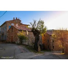 CORSE CONSEIL INVESTIS...
