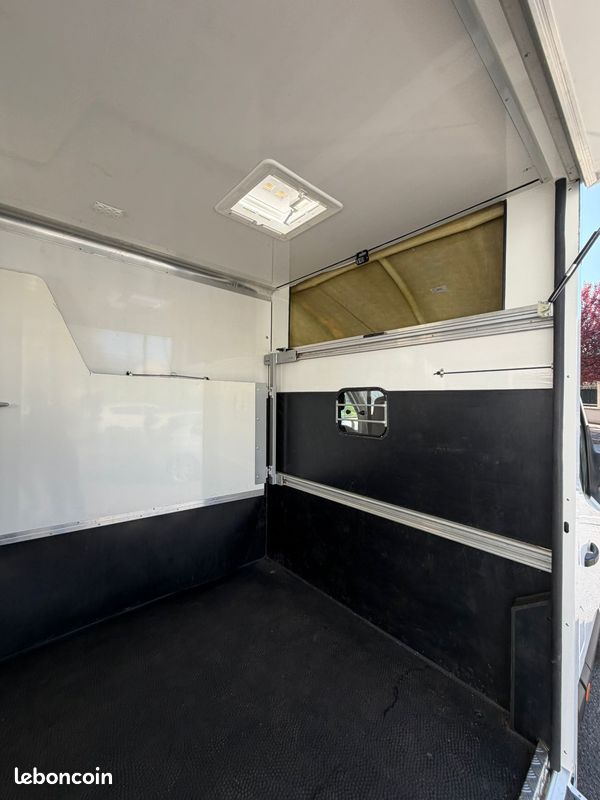 Camion 2 chevaux ACR - Renault Master - stalle - 2020 - 79 000km (image 5)