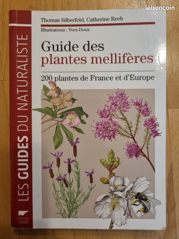 Guide des plantes mellifères (image 1)