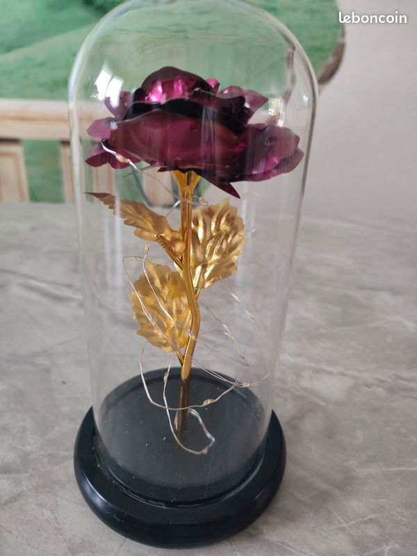 Rose sous globe en verre couleur fushia (image 6)