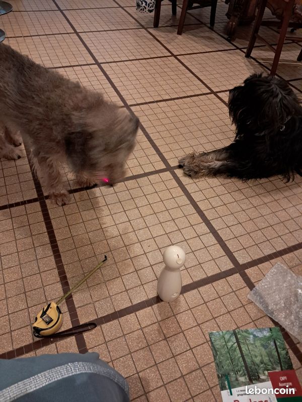Jouet laser por chat ou chien (image 2)