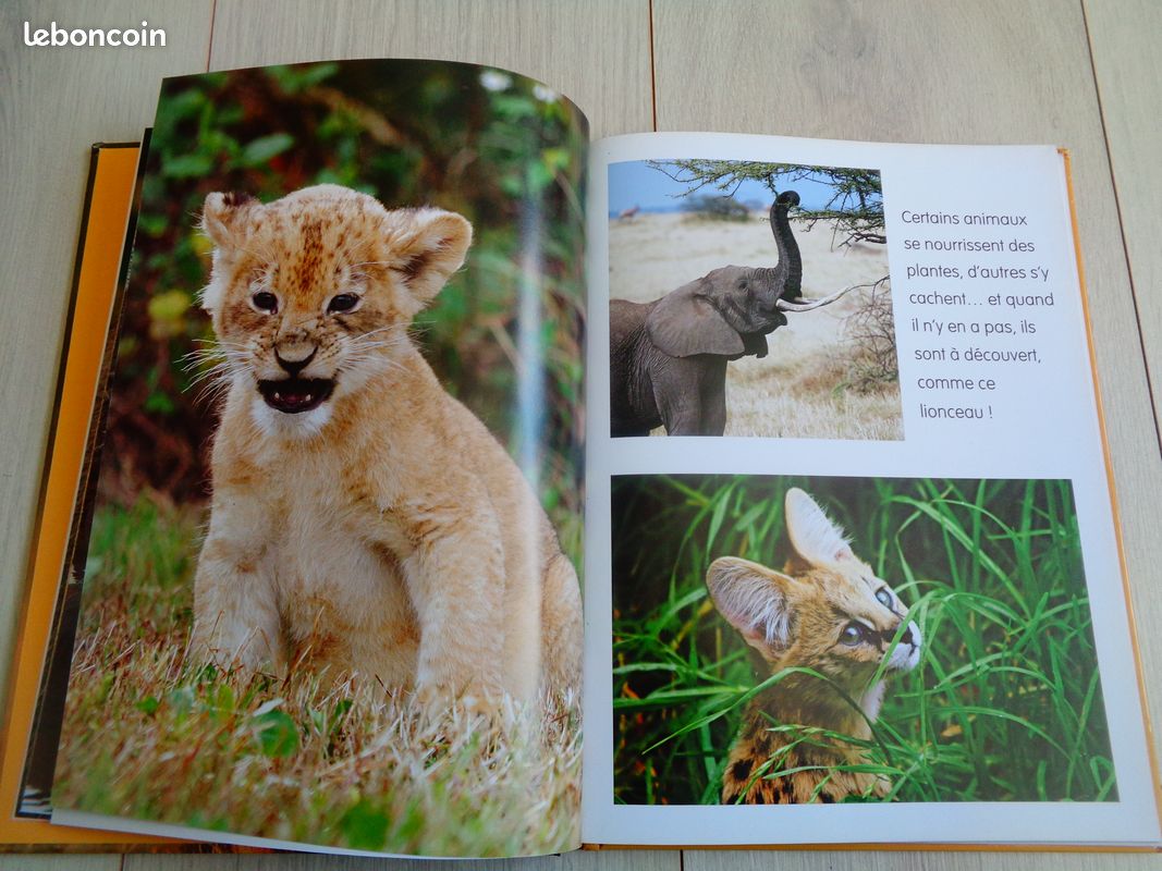 Livre Les Animaux de la Savane (image 3)