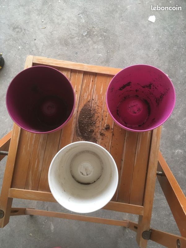 Caches Pots Elho spéciaux pour orchidées (image 5)
