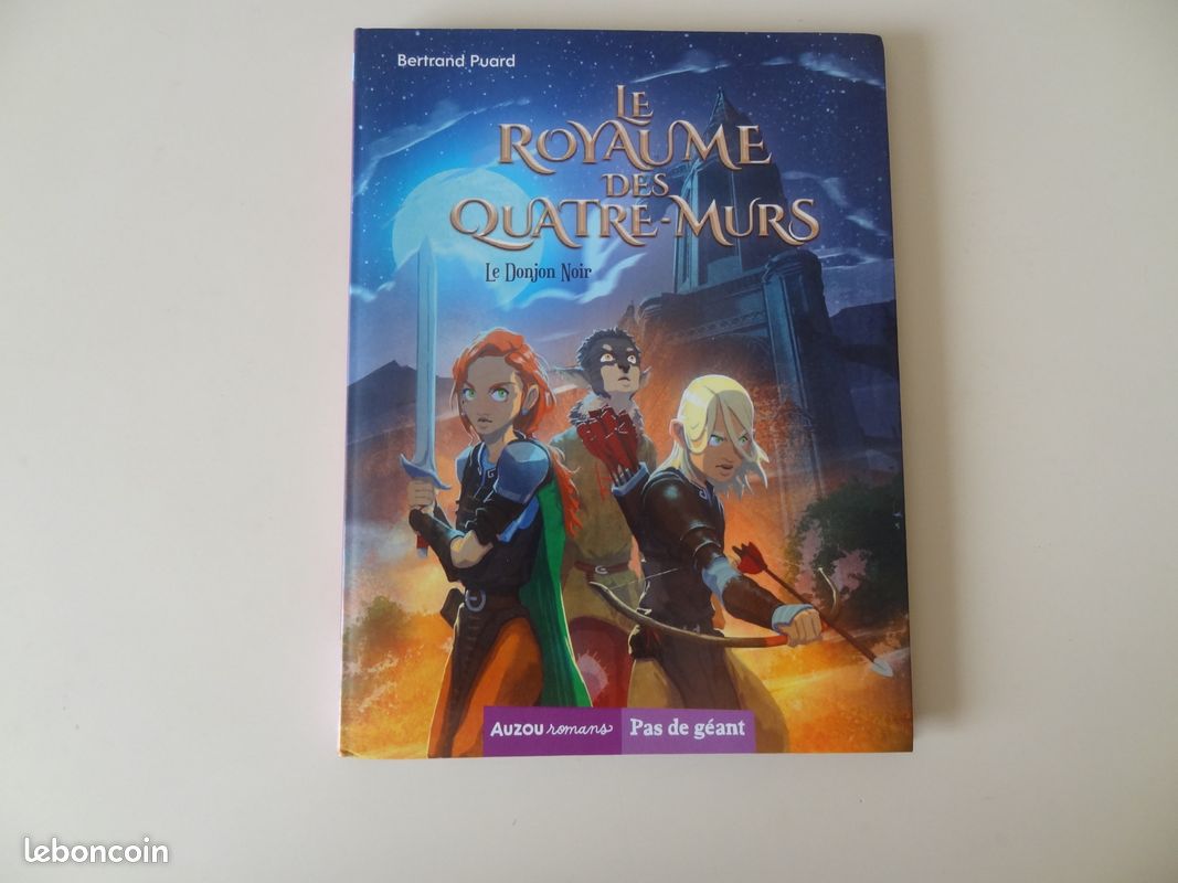 Le royaume des quatre murs (image 1)