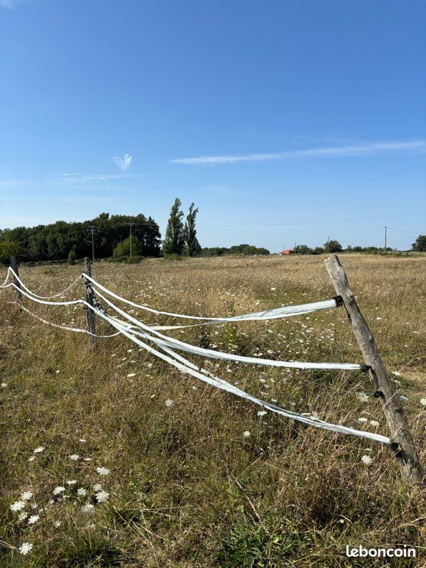 Achète terrain pour chevaux · à Léguevin · 30 000 €