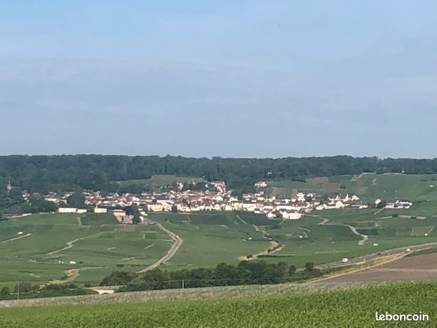 Vigne de Champagne pour investisseur
