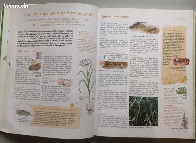 Guide du potager aromatique (image 2)