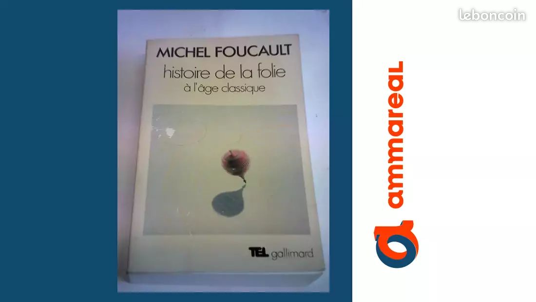 Histoire de la folie a l`age classique - Michel Foucault (image 1)