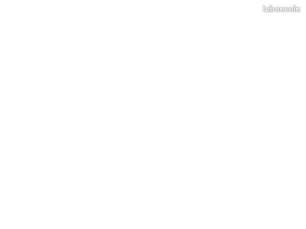 https://img.leboncoin.fr/api/v1/lbcpb1/images/4f/5b/a7/4f5ba76dc0927be805f969bace56b3cac14cfb2a.jpg?rule=ad-image