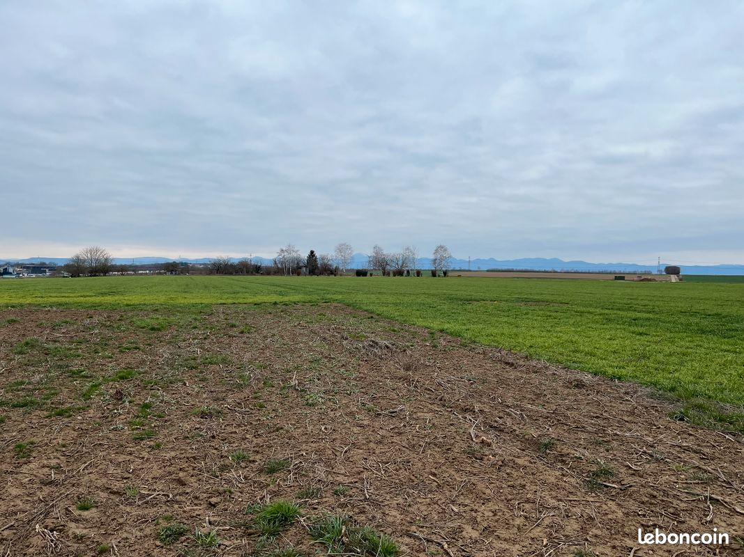 Terrain 1131m² Joze · 120 000 €