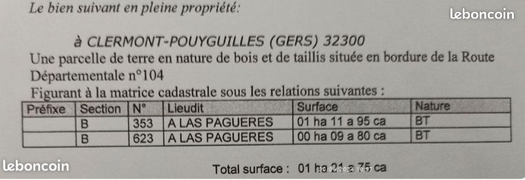 Terrain boisé