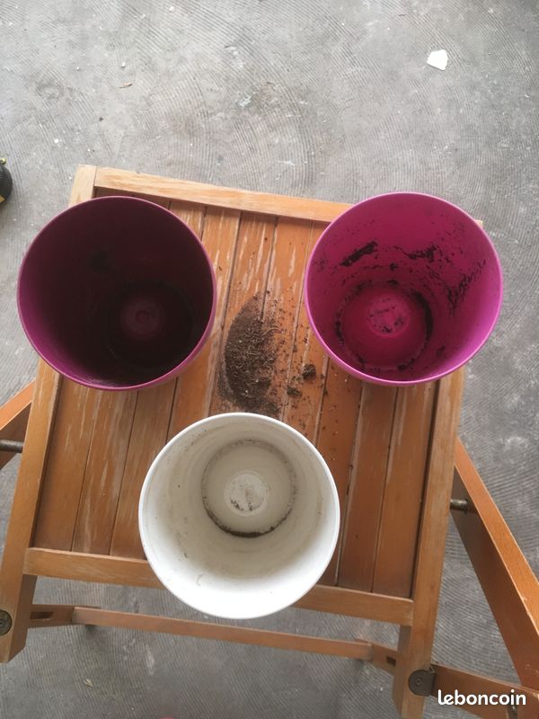 Caches Pots Elho spéciaux pour orchidées (image 3)