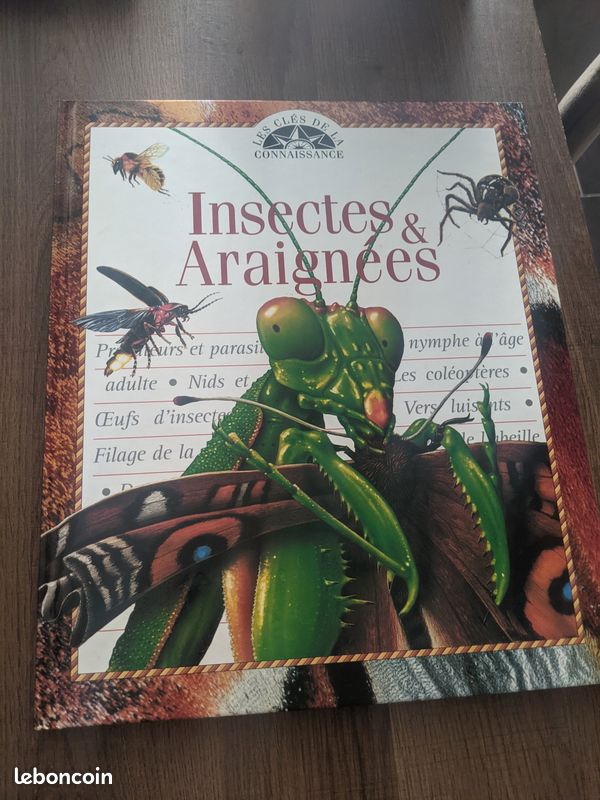 Livre "Insecte et araignée" (image 1)