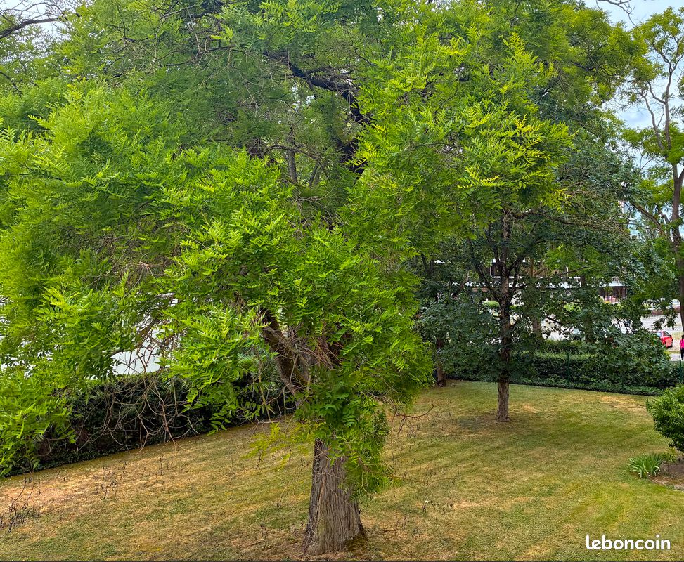 Appartement 5 pièces 99 m² · à Mulhouse · 99 m² · 98 000 €