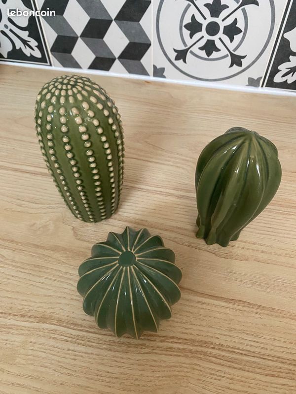 Triptyque cactus (image 2)