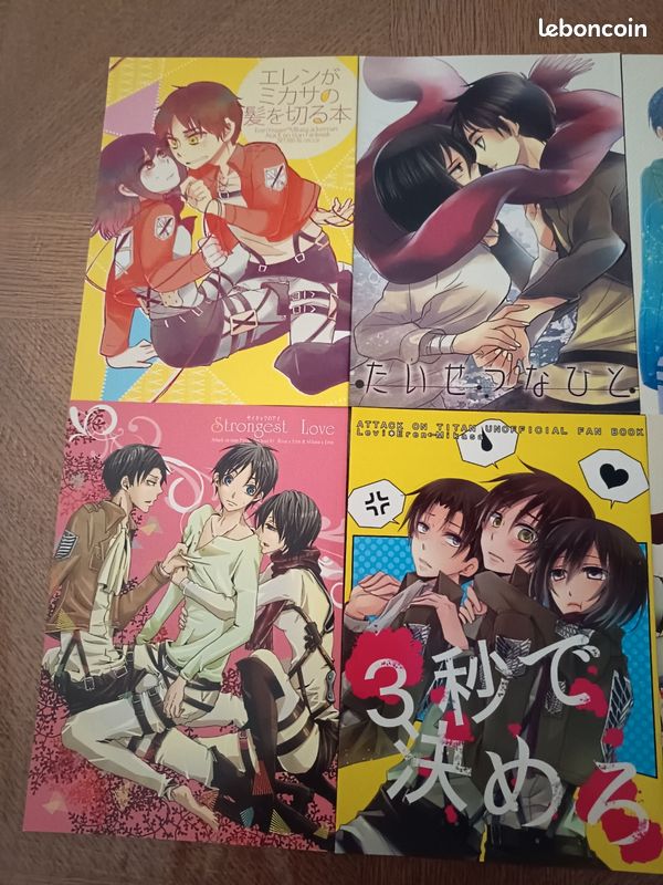 Lot fanbook attack on Titan (image 3)