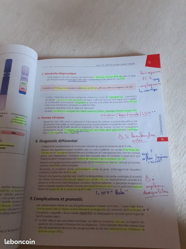 Collège hématologie (image 3)